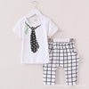 Rabbit Pattern Toddler Boys Clothing Set